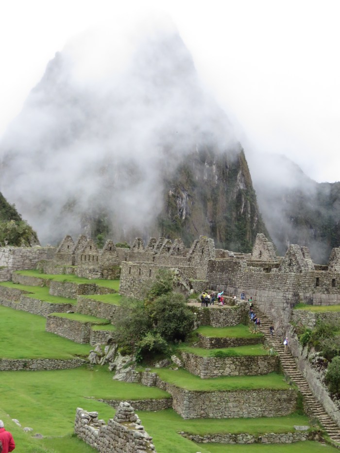 Machu Picchu - among the ruins